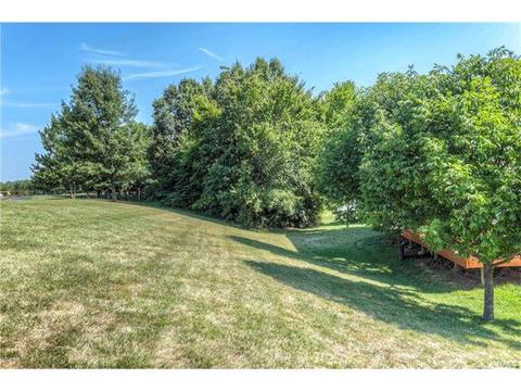 535 Pinehurst Gln, O'fallon, MO 63366 photo 42