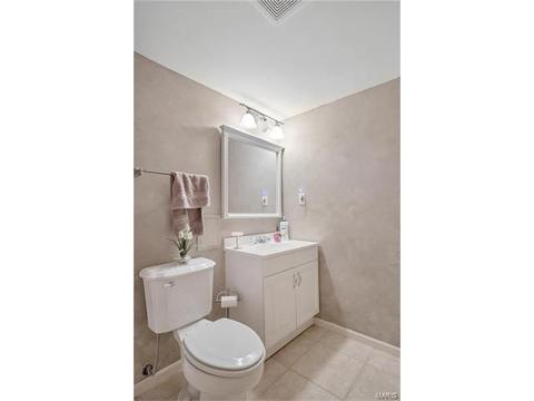 234 Ries Rd, Ballwin, MO 63021 photo 31