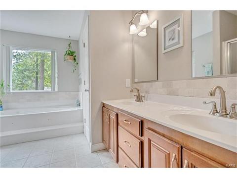 234 Ries Rd, Ballwin, MO 63021 photo 19