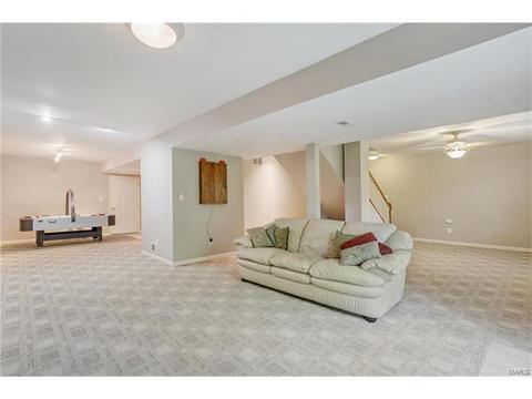234 Ries Rd, Ballwin, MO 63021 photo 28