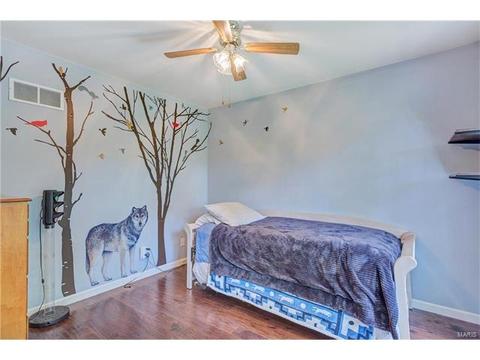 234 Ries Rd, Ballwin, MO 63021 photo 23