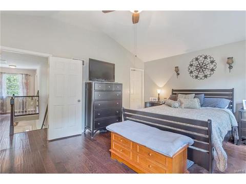 234 Ries Rd, Ballwin, MO 63021 photo 18