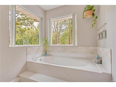 234 Ries Rd, Ballwin, MO 63021 photo 20