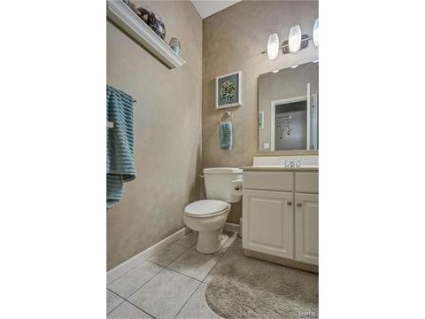 234 Ries Rd, Ballwin, MO 63021 photo 16
