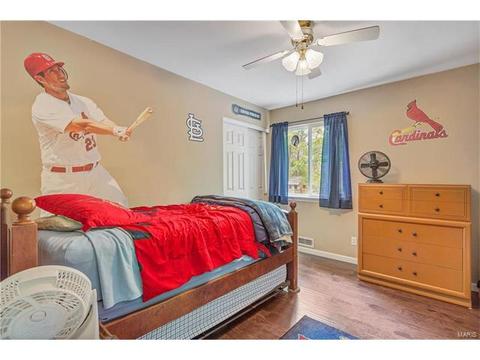234 Ries Rd, Ballwin, MO 63021 photo 22