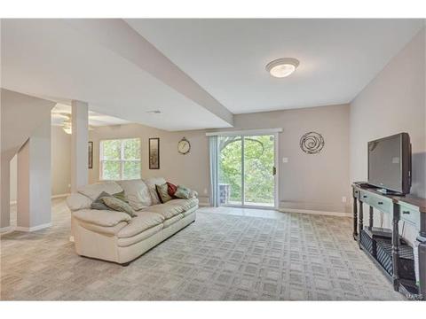 234 Ries Rd, Ballwin, MO 63021 photo 29