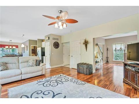 234 Ries Rd, Ballwin, MO 63021 photo 10