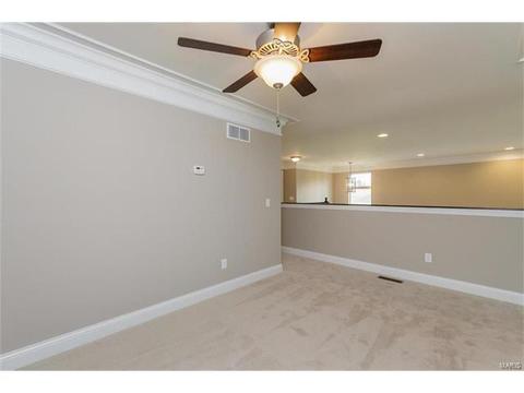 104 Stewards Ln, Eureka, MO 63025 photo 41
