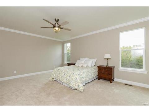 104 Stewards Ln, Eureka, MO 63025 photo 28