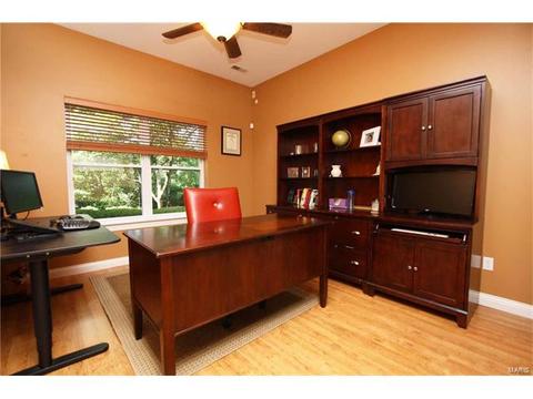 1208 Parkway Meadow Ct, Ballwin, MO 63021 photo 29