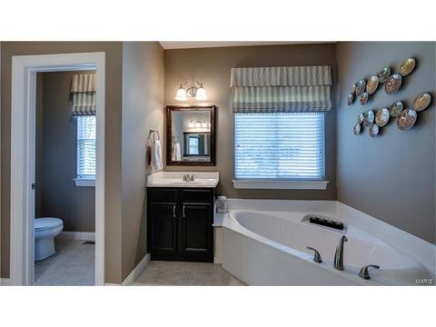 1208 Parkway Meadow Ct, Ballwin, MO 63021 photo 20