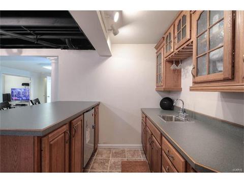 1222 Summer Lynne, O'fallon, MO 63366 photo 23