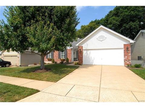569 Wetherby Ter, Ballwin, MO 63021 photo 46