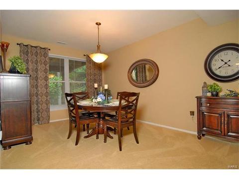 569 Wetherby Ter, Ballwin, MO 63021 photo 33