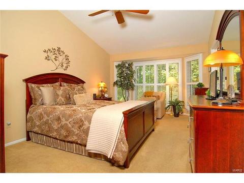 569 Wetherby Ter, Ballwin, MO 63021 photo 18