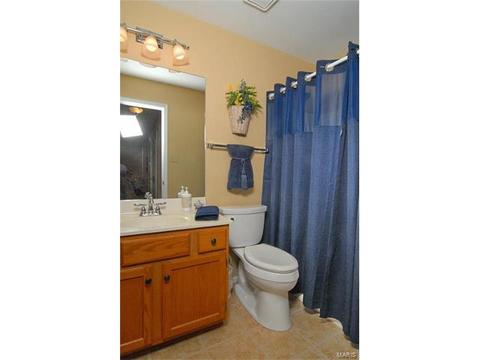 569 Wetherby Ter, Ballwin, MO 63021 photo 28
