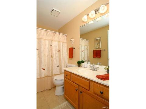 569 Wetherby Ter, Ballwin, MO 63021 photo 36