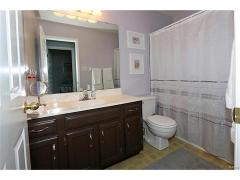 252 Oakbriar Farm Dr, Ballwin, MO 63021 photo 20
