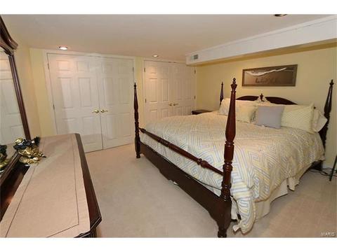 252 Oakbriar Farm Dr, Ballwin, MO 63021 photo 24