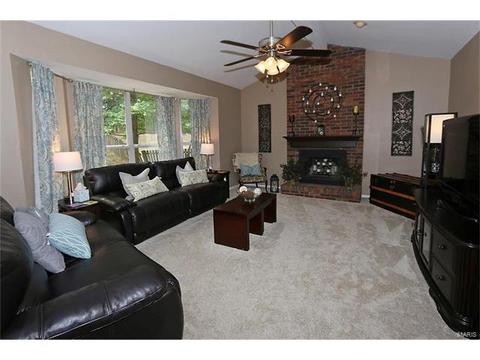 252 Oakbriar Farm Dr, Ballwin, MO 63021 photo 12
