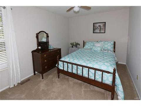 252 Oakbriar Farm Dr, Ballwin, MO 63021 photo 19