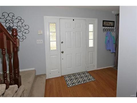 252 Oakbriar Farm Dr, Ballwin, MO 63021 photo 2