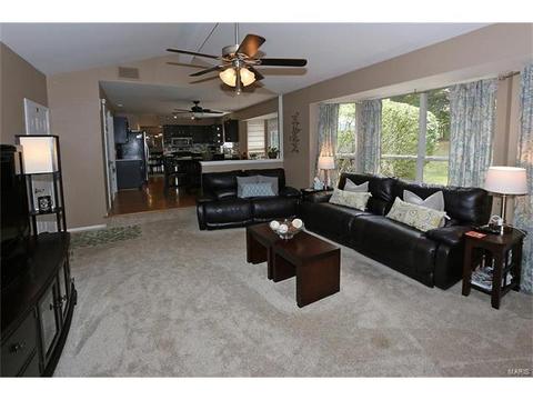 252 Oakbriar Farm Dr, Ballwin, MO 63021 photo 13
