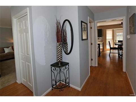 252 Oakbriar Farm Dr, Ballwin, MO 63021 photo 3