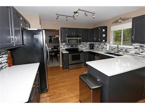 252 Oakbriar Farm Dr, Ballwin, MO 63021 photo 7