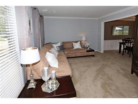 252 Oakbriar Farm Dr, Ballwin, MO 63021 photo 5
