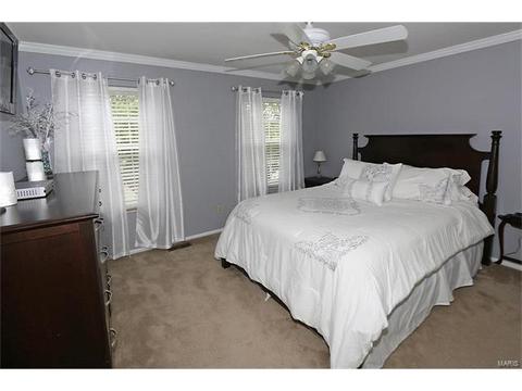 252 Oakbriar Farm Dr, Ballwin, MO 63021 photo 16