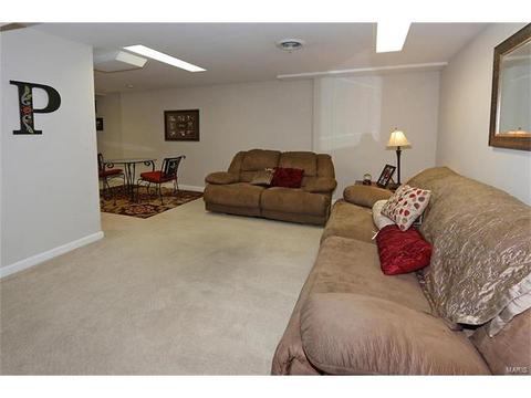 252 Oakbriar Farm Dr, Ballwin, MO 63021 photo 23
