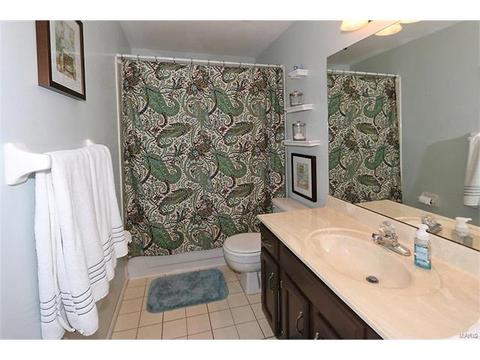 252 Oakbriar Farm Dr, Ballwin, MO 63021 photo 17