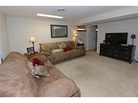 252 Oakbriar Farm Dr, Ballwin, MO 63021 photo 22