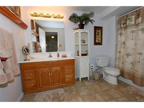 252 Oakbriar Farm Dr, Ballwin, MO 63021 photo 25