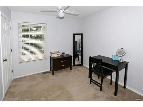 252 Oakbriar Farm Dr, Ballwin, MO 63021 photo 18