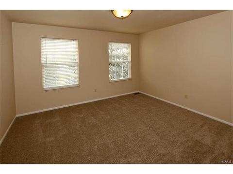 1184 Warm Winds Dr, O'fallon, MO 63366 photo 23