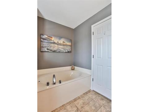 103 Marigold Mdws, O'fallon, MO 63368 photo 11