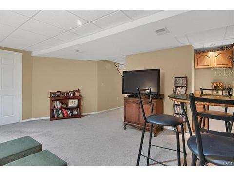 1020 Oak Gln, Ballwin, MO 63021 photo 33
