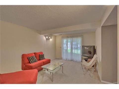 1623 Award Dr, Manchester, MO 63021 photo 17