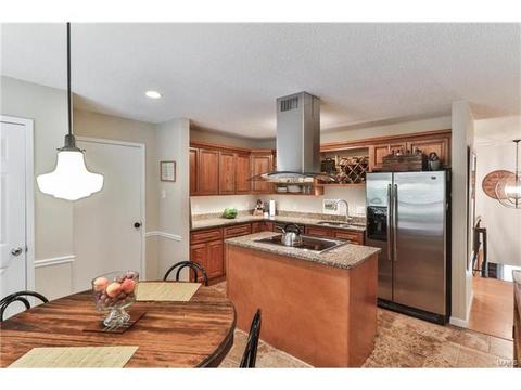 7 Nicolet Dr, Manchester, MO 63011 photo 18