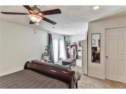 7 Nicolet Dr, Manchester, MO 63011 photo 29