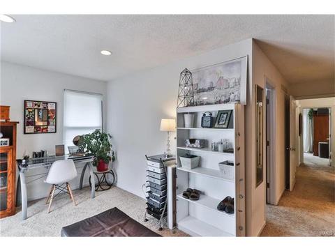 7 Nicolet Dr, Manchester, MO 63011 photo 31