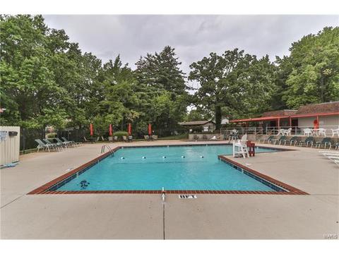 7 Nicolet Dr, Manchester, MO 63011 photo 50
