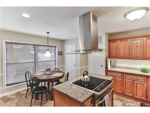 7 Nicolet Dr, Manchester, MO 63011 photo 17