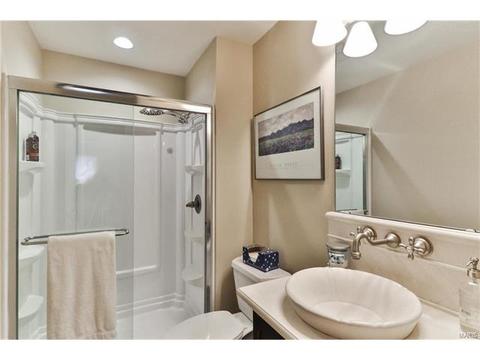 7 Nicolet Dr, Manchester, MO 63011 photo 24