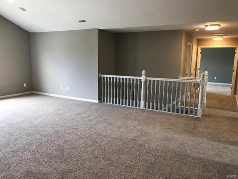 5 Spring Orchard Ct, O'fallon, MO 63368 photo 16