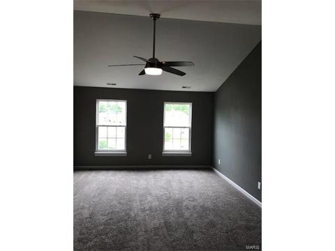 5 Spring Orchard Ct, O'fallon, MO 63368 photo 19