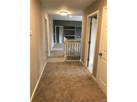 5 Spring Orchard Ct, O'fallon, MO 63368 photo 28