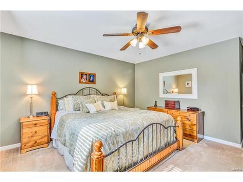 231 Ranchmoor Trl, Ellisville, MO 63011 photo 7